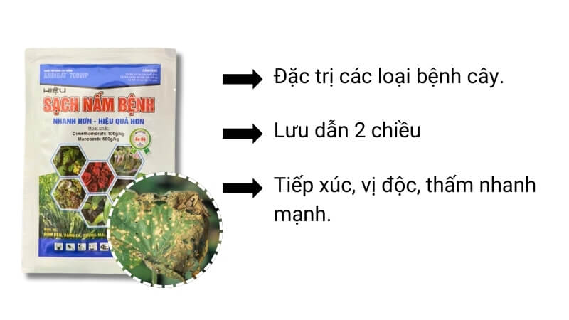 công dụng của Thuốc Trừ Nấm Bệnh Mancozeb Dimethomrph