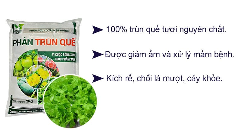 Trùn quế dang bột cung cấp dinh dưỡng đầy đủ cho cây trồng