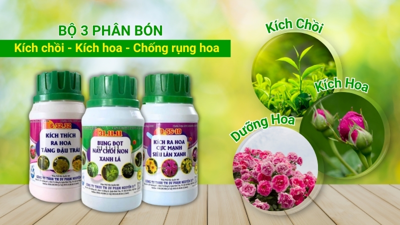 Bộ 3 phân bón kích chồi, kích hoa, chống rụng hoa cho cây trồng