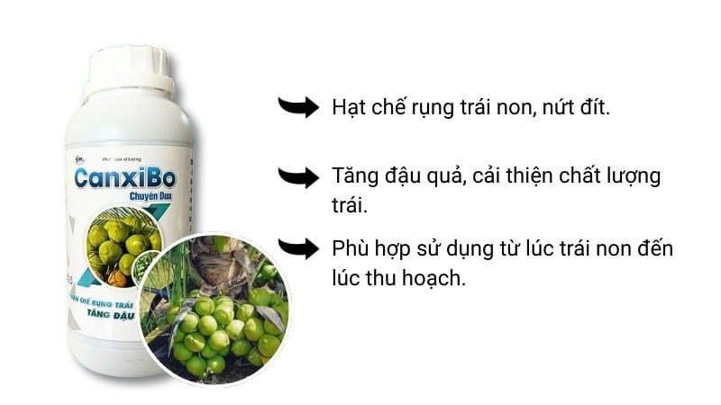 phân bón canxi bo chuyên dùng cho dừa