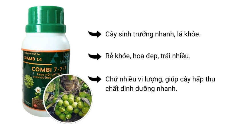 Phân bón combi 7-7-7 chuyên phục hồi cây, cung cấp dinh dưỡng toàn diện