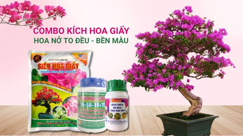 Combo chuyên dùng kích hoa giấy