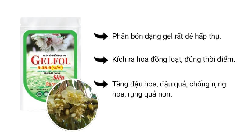 PK 16-69-16 dạng gel giúp cây trồng tăng đậu hoa, đậu quả