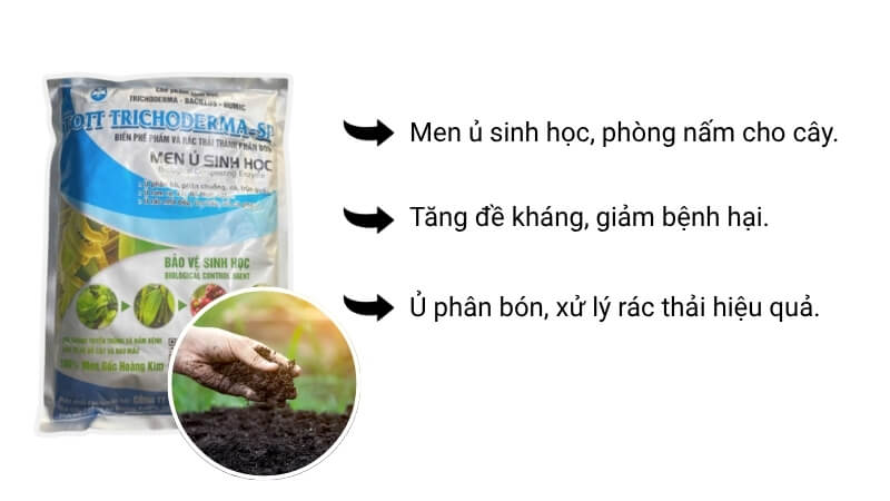 nấm đối kháng trichoderma Tott