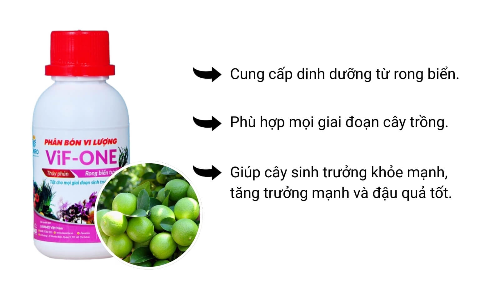 phân bón rong biển vif one minro dùng cho mọi giai đoạn cây trồng