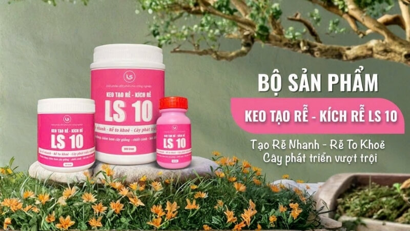 Keo tạo rễ, kích chồi LS10