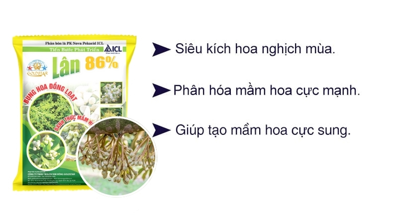 Phân lân 86k kích ra hoa đồng loạt