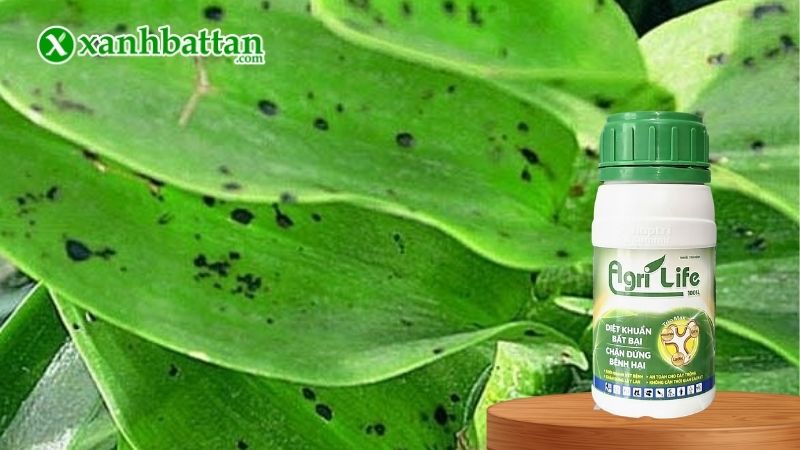 Thuốc trừ bệnh sinh học Agri Life 100SL Hợp Trí là gì?