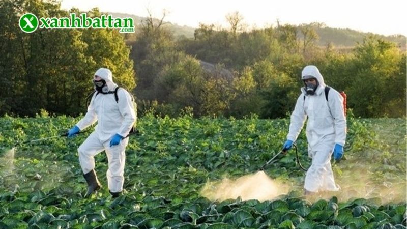 Hướng dẫn cách sử dụng và bảo quản sản phẩm Agri Life 100SL Hợp Trí