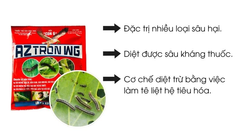 Thuốc trừ sâu sinh học chủng BT Bacillus thuringiensis