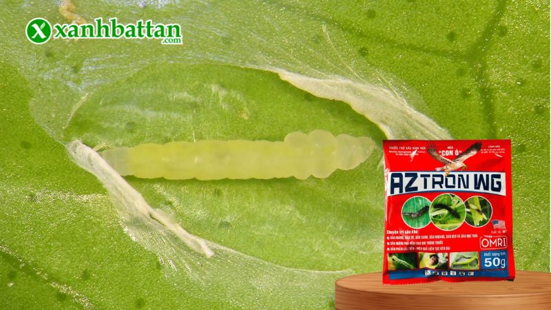 Thuốc trừ sâu sinh học AZ TRON WG là gì?