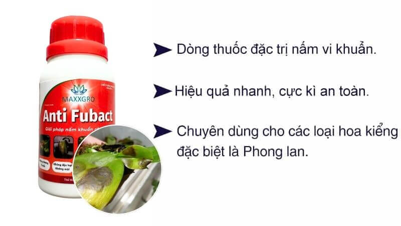 Thuốc trừ thối nhũn anti fubact