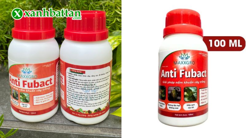 Anti Fubact - Đặc trị vi khuẩn, nấm bệnh gây thối nhún là gì?