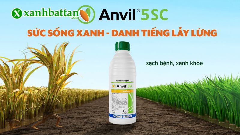 Hướng dẫn cách sử dụng và bảo quản sản phẩm thuốc trị nấm bệnh cây trồng ANVIL 5SC
