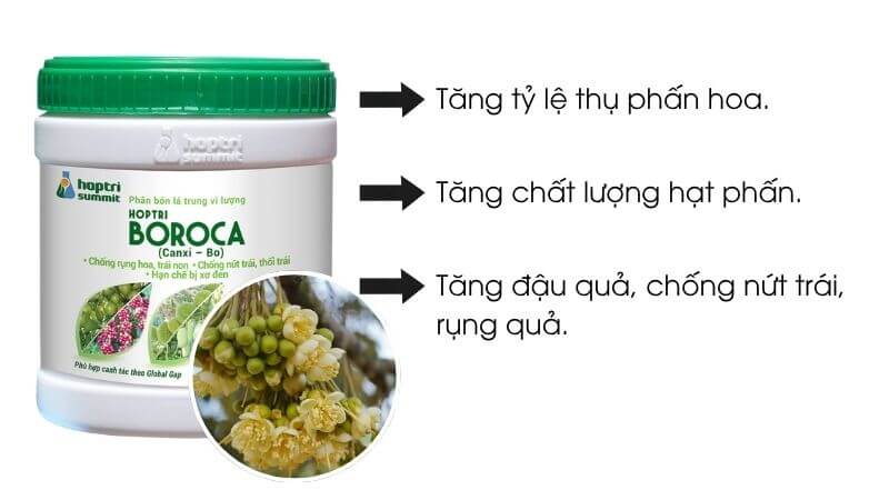 Boraca Hợp Trí tăng tỷ lệ đậu quả, chống rụng quả