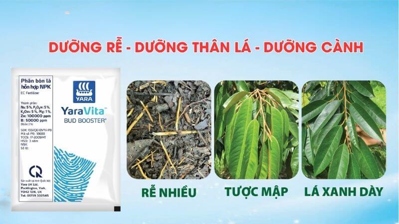 Bud booster Hợp Trí dưỡng rễ, thân cành lá