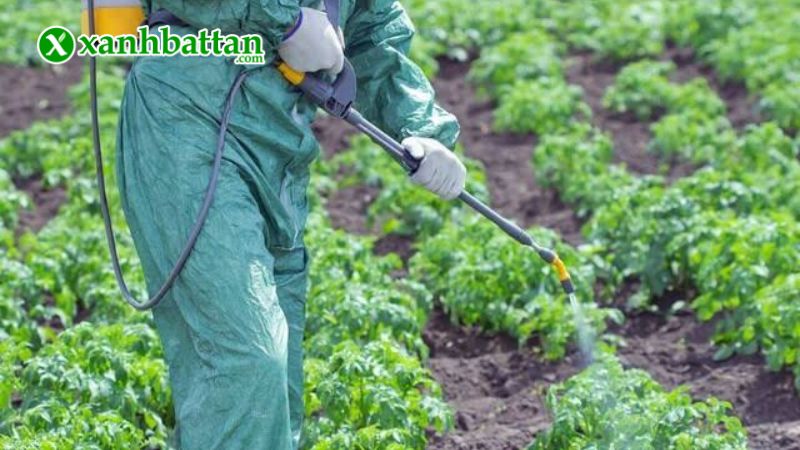 Hướng dẫn cách sử dụng, bảo quản NPK Bud BoosSter Hợp Trí