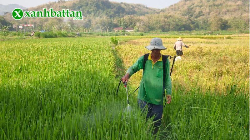 Hướng dẫn cách sử dụng và bảo quản sản phẩm Biorepel 10SL