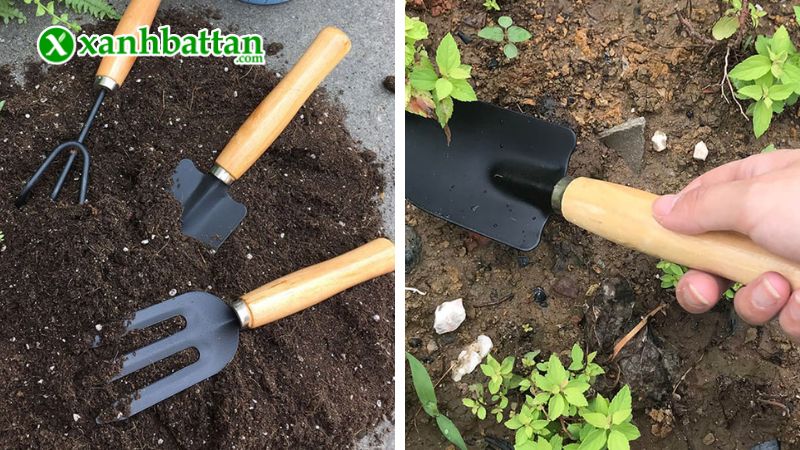 Hướng dẫn cách sử dụng, bảo quản bộ 3 món dụng cụ làm vườn mini cán gỗ Garden Tool