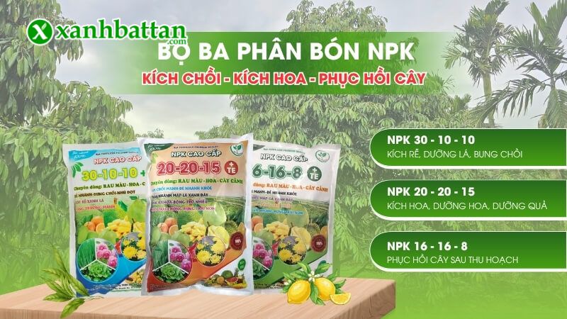 Bộ ba phân bón NPK (30-10-10, 20-20-15, 16-16-8) là gì?