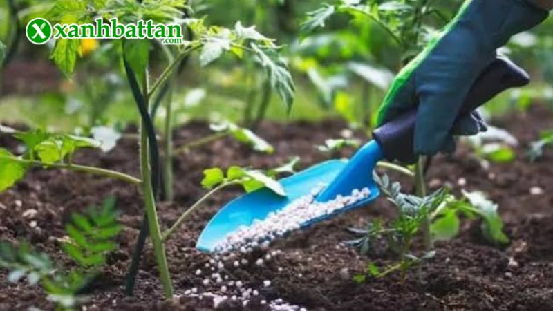 Hướng dẫn cách sử dụng, bảo quản phân bón NPK (30-10-10, 20-20-15, 16-16-8)