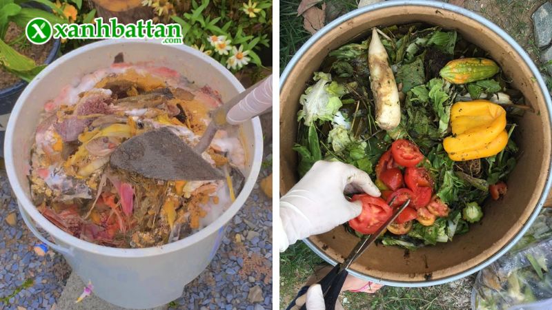 Hướng dẫn cách sử dụng, bảo quản bộ đôi mật rỉ đường và men vi sinh Trichoderma