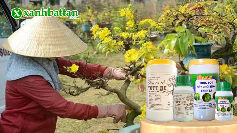 Hướng dẫn cách sử dụng, bảo quản bộ đôi TOTT RE - NPK 31-11-11