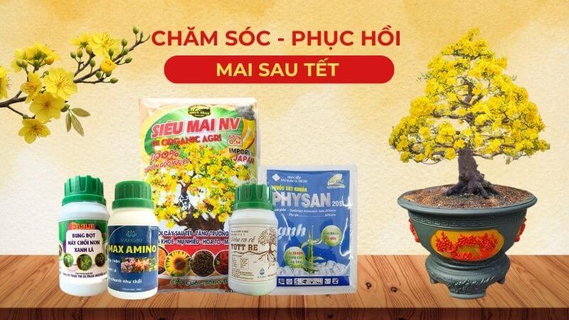 combo phân bón chăm sóc và phục hồi mai sau tết