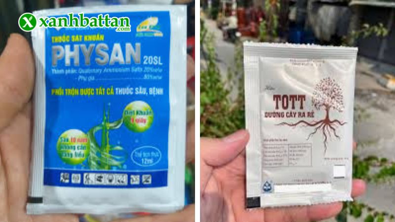 Bộ phân bón chăm sóc hoa Giấy là gì?