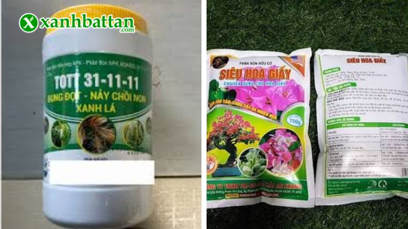 Bộ phân bón chăm sóc hoa Giấy là gì?
