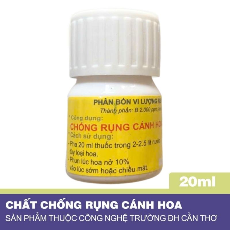 Bo-Phan-Lam-Rung-La-Mai-Va-Chat-Chong-Rung-Hoa-Mai-DHCT_3.jpg