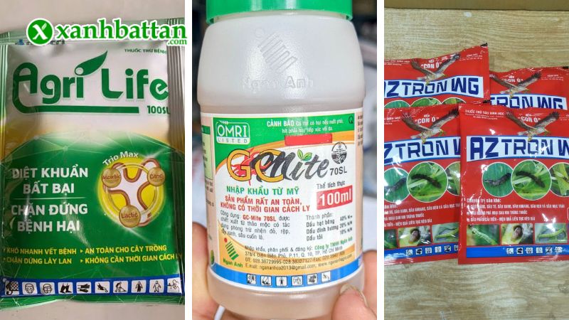 Combo đặc trị trị bọ trĩ, nhện đỏ, nấm bênh - vi khuẩn gây hại lên cây trồng là gì?