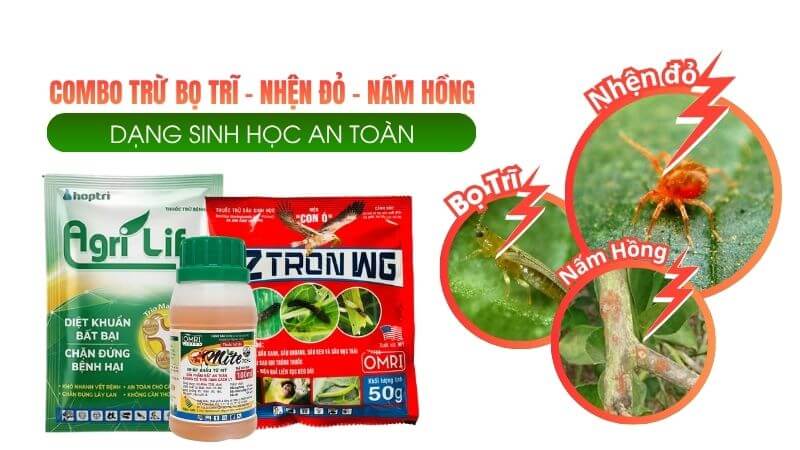 Combo diệt trừ bọ trĩ, nhện đỏ, nấm hồng dạng sinh học an toàn