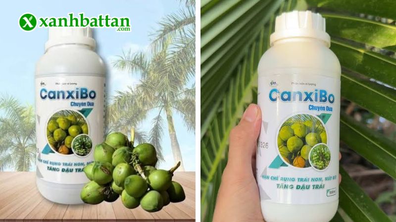Phân bón vi lượng Canxi Bo chuyên dụng cho Dừa là gì?