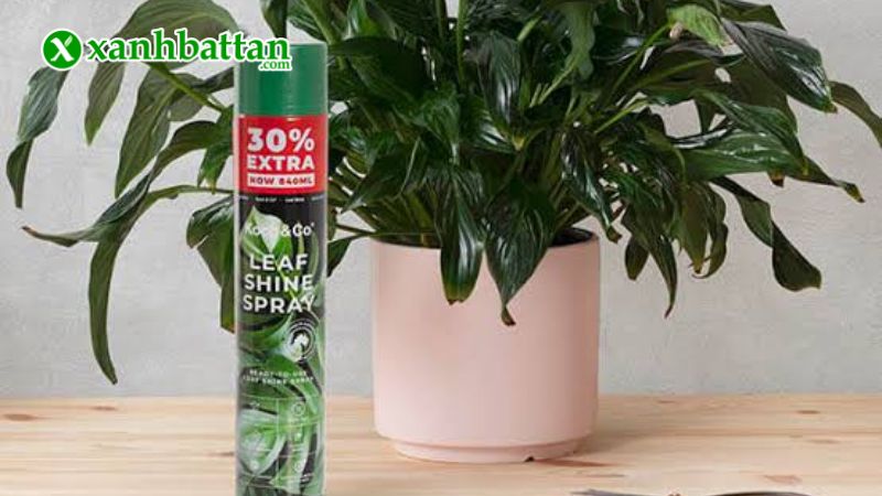 Chai xịt bóng lá LeafShine Spray Koch & CO là gì?
