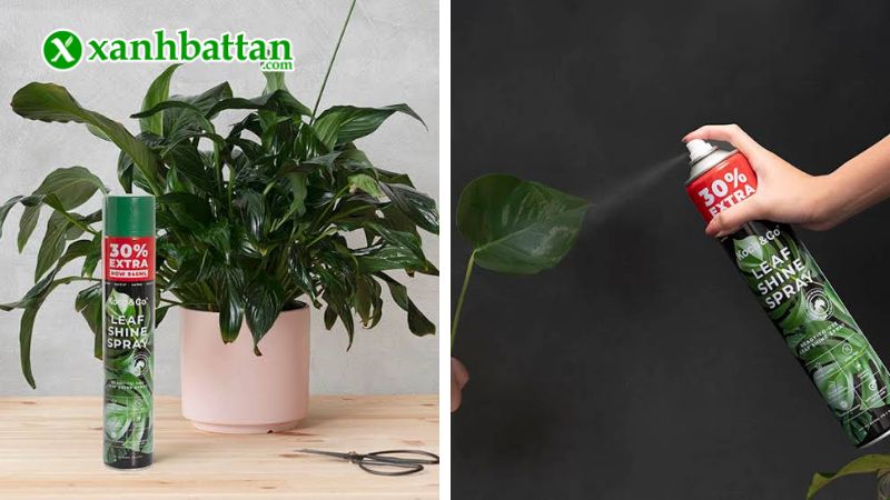 Hướng dẫn cách sử dụng, bảo quản Chai xịt bóng lá LeafShine Spray Koch & CO