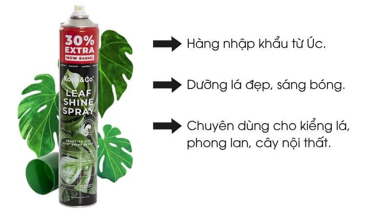 Xịt dưỡng bóng lá, đẹp lá koch&co
