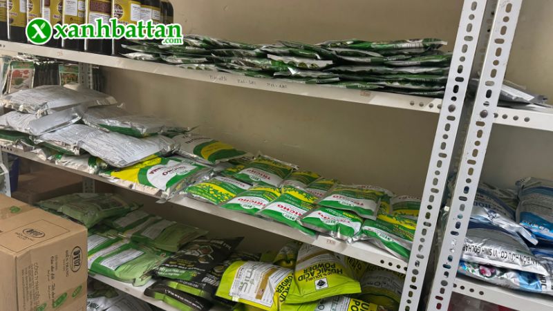 Xanh Bất Tận - Địa chỉ mua phân bón chăm sóc cây chất lượng tại TP.HCM