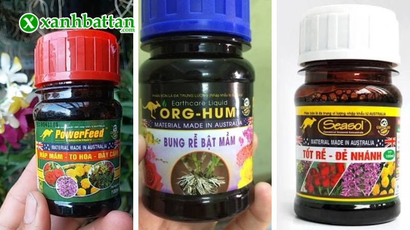 Combo bộ ba Seasol - Org Hum - Powerfeed là gì?