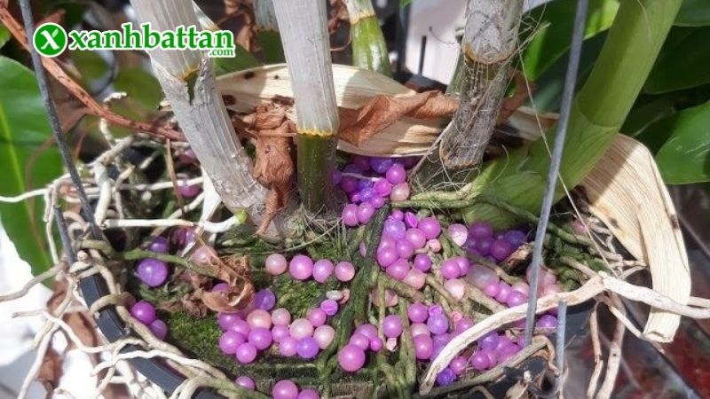 Hướng dẫn cách sử dụng, bảo quản Combo phân bón Rynan 200 - Rynan 210 - Rynan 220
