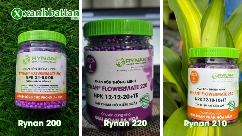 Combo phân bón tan chậm Rynan 200 - Rynan 210 - Rynan 220 là gì?