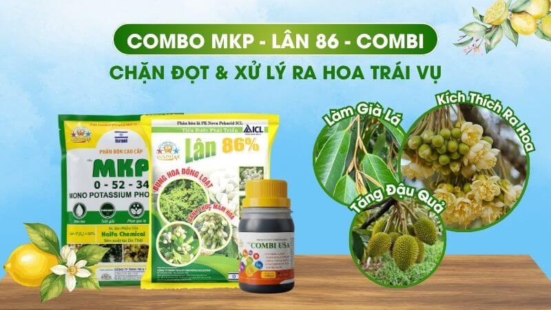 Combo phân bón chặn đọt kích ra hoa trái vụ