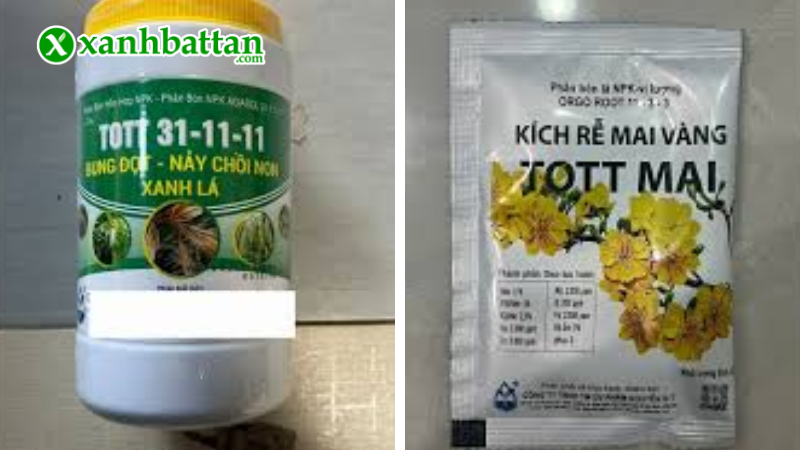 Combo phân bón, chăm sóc Mai vàng sau Tết là gì?