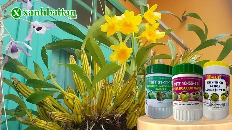 Hướng dẫn cách sử dụng, bảo quản phân bón NPK kích chồi - kích hoa - chống rụng cánh là gì?