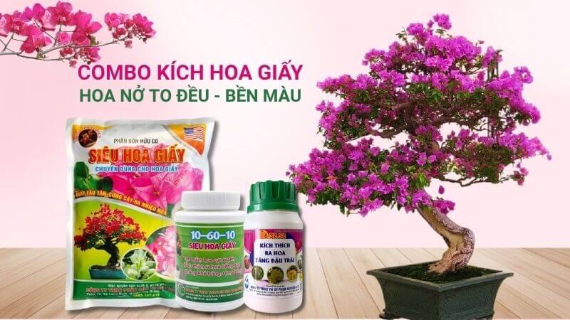 combo phân bón chuyên dùng để kích hoa giấy
