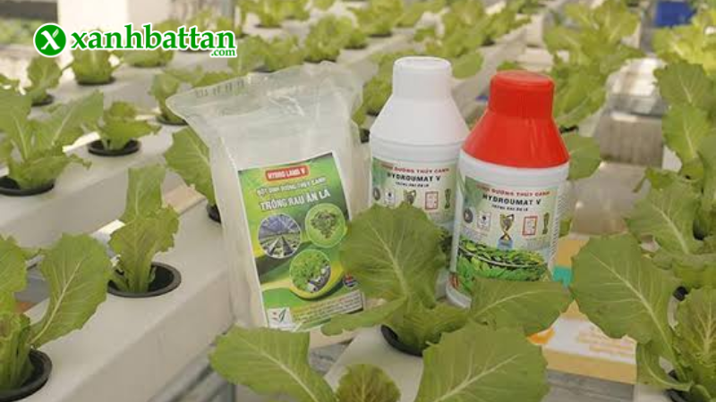 Dung dịch thuỷ canh rau ăn lá Hydro Umat V là gì?