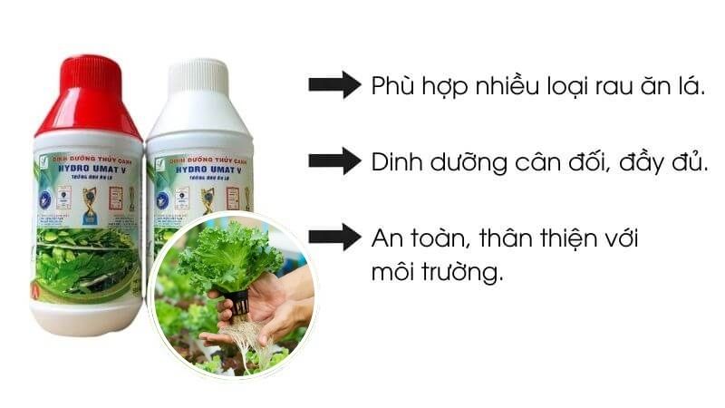 Dung-Dich-Thuy-Canh-Rau-An-La-Hydro-Umat-V-6.jpg?v=1775626640