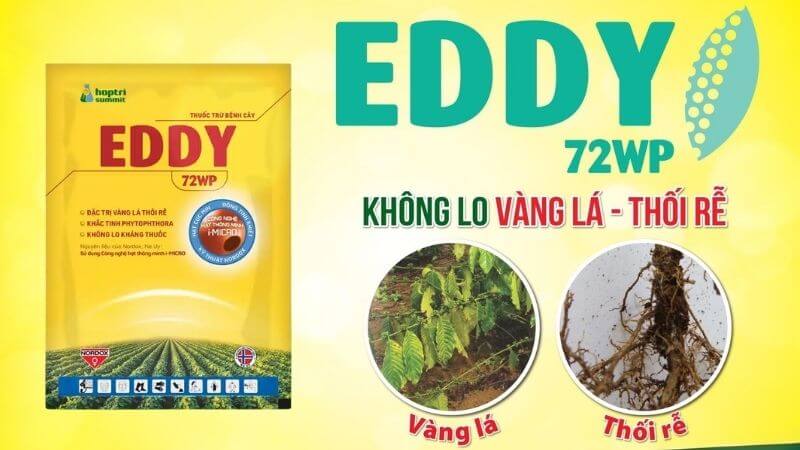 Eddy 72wp hợp trí đặc trị nấm phytophthora