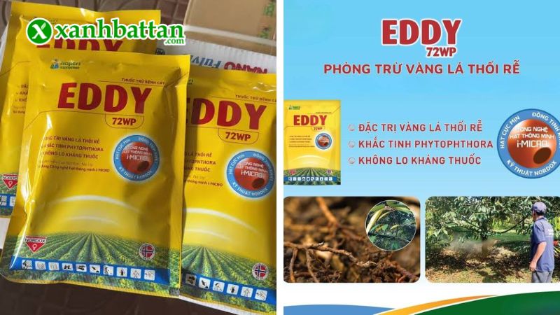 EDDY HỢP TRÍ (EDDY 72WP) - Trừ bệnh vàng lá, thối rễ là gì?