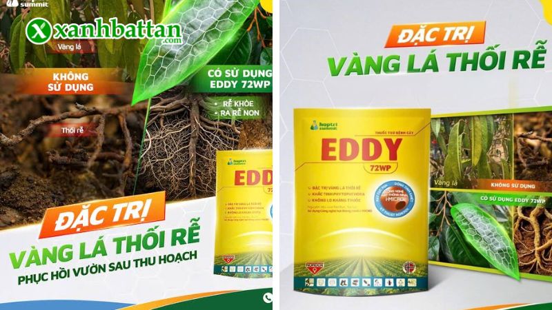 Hướng dẫn cách sử dụng, bảo quản EDDY HỢP TRÍ (EDDY 72WP)